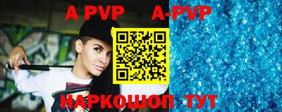 индика Сланцы
