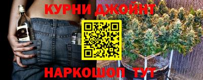 индика Сланцы