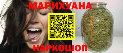индика Сланцы