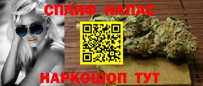 индика Сланцы