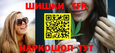 индика Сланцы