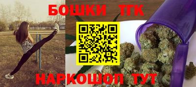 индика Сланцы