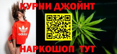 индика Сланцы