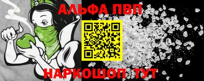 индика Сланцы