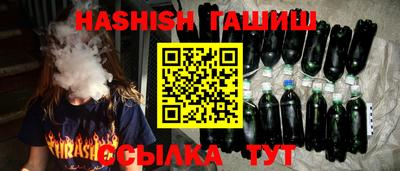 индика Сланцы
