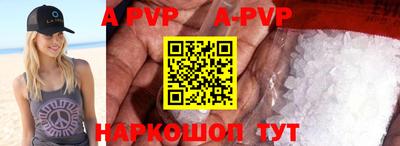 индика Сланцы