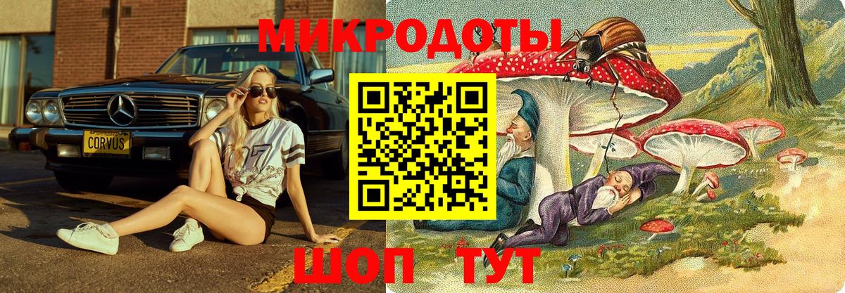 Светлоград  Псилоцибиновые грибы Cubensis  Вход с VPN  Галлюциногенные грибы Psilocybe 