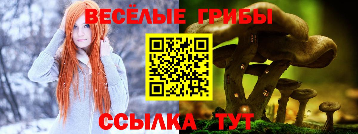 Псилоцибиновые грибы Magic Shrooms Светлоград